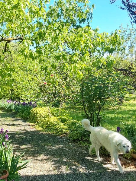 Der-Garten-von-LaMamita-natuerliche-Kulisse