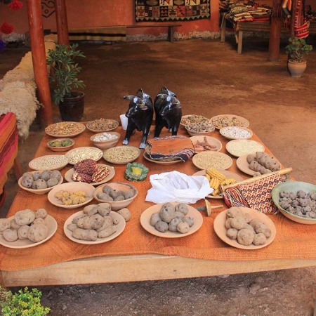 Peru-Textilien-und-Pflanzenfarben